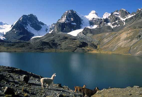 горы Боливии