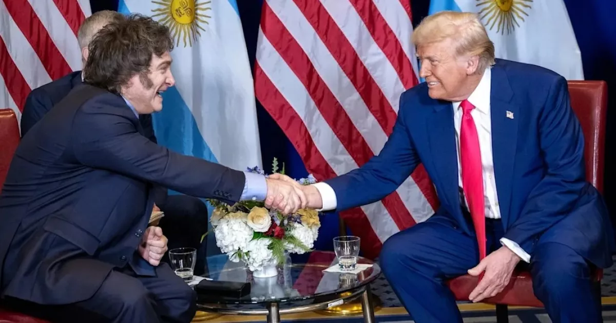 Милеи и Трамп, vigiljournal.com