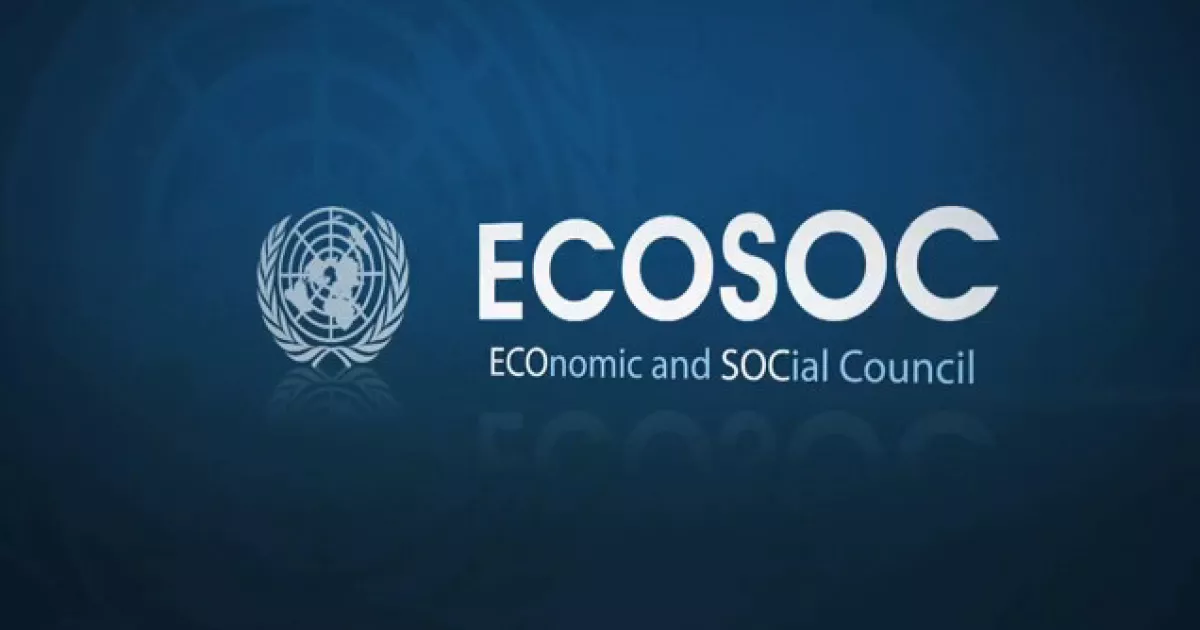 ECOSOC, vigiljournal.com