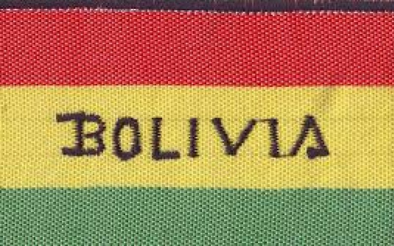 Выборы в Боливии, vigiljournal.com
