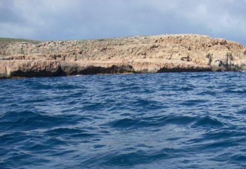 мыс Мерчисон, vigiljournal.com