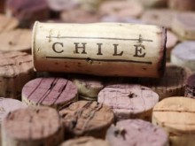 Розовое вино Чили