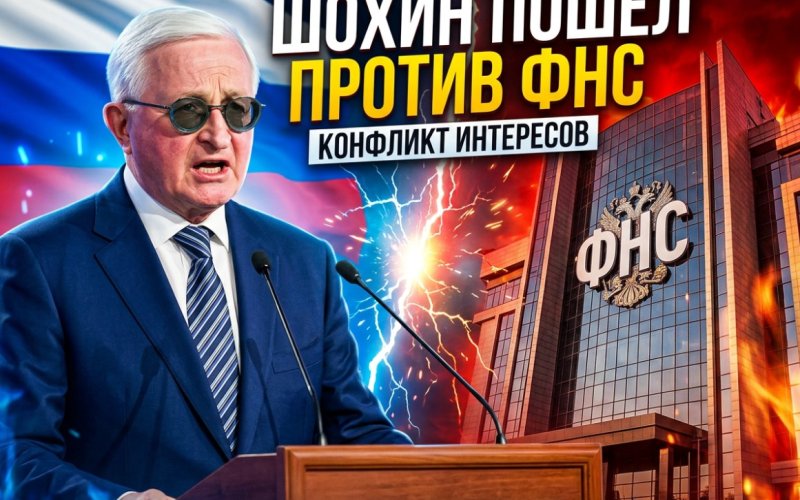Шохин против ФНС