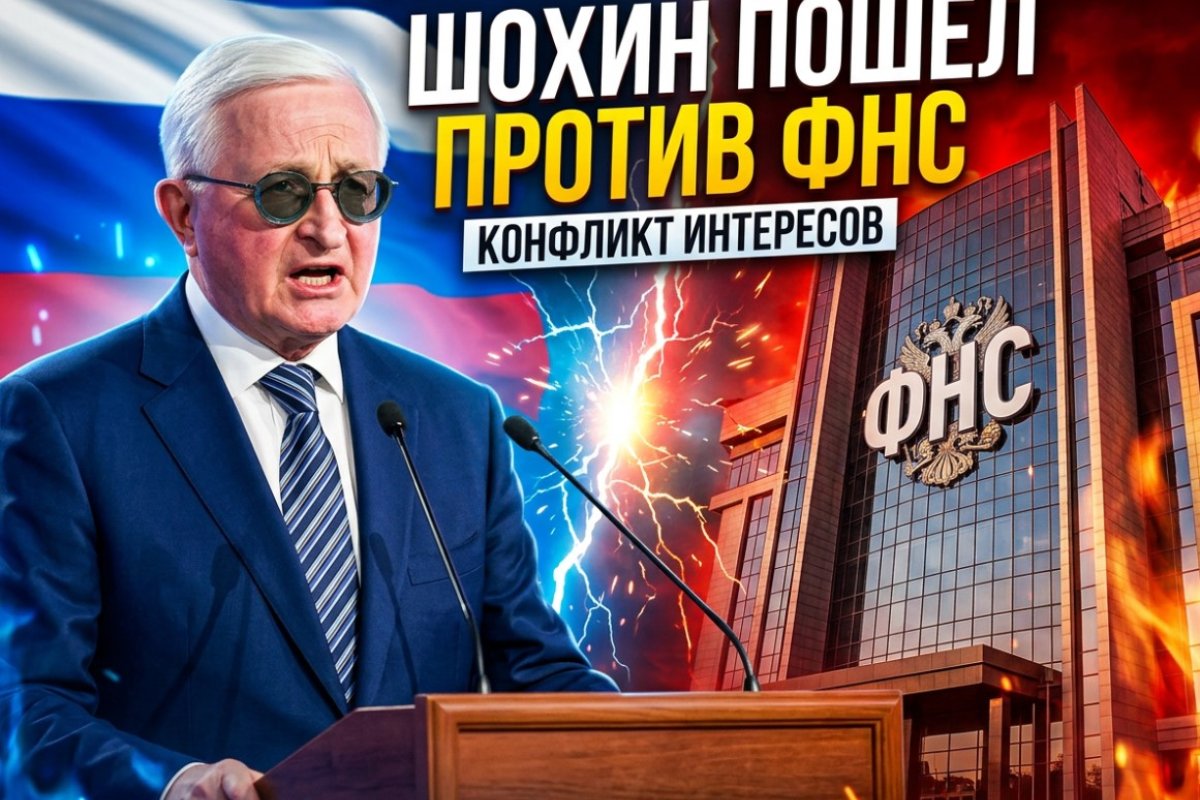 Шохин против ФНС